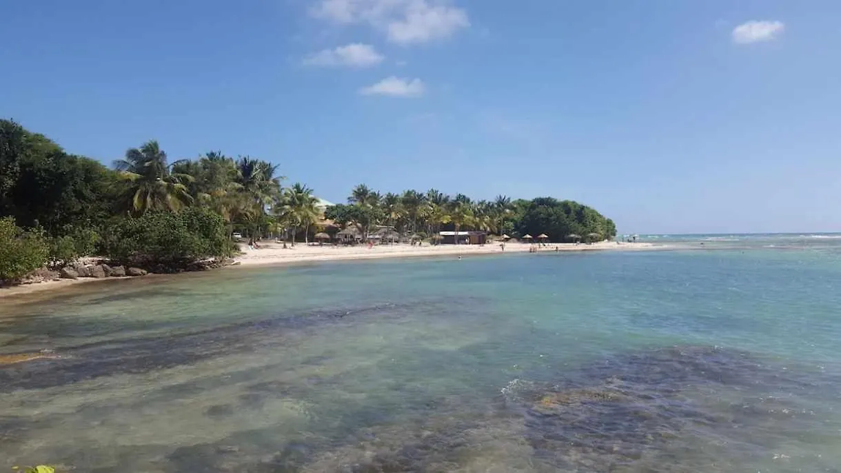 Apartment Bel Appart , 45M2 ,Wifi Hd ,4 Voyageurs Saint-Francois